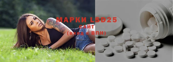 spice Верея