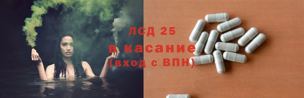 spice Верея