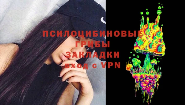 spice Верея