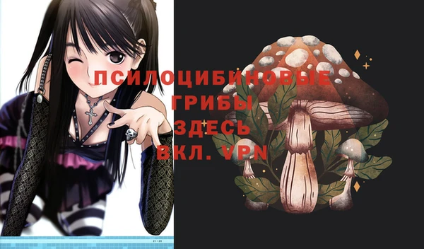 дурь Бронницы