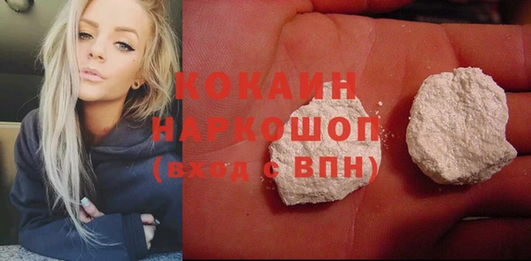 СК Бородино