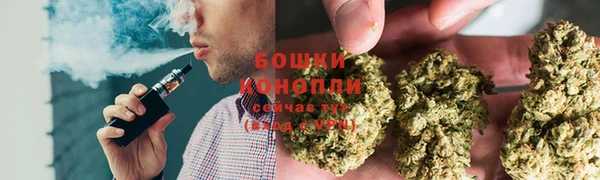СК Бородино