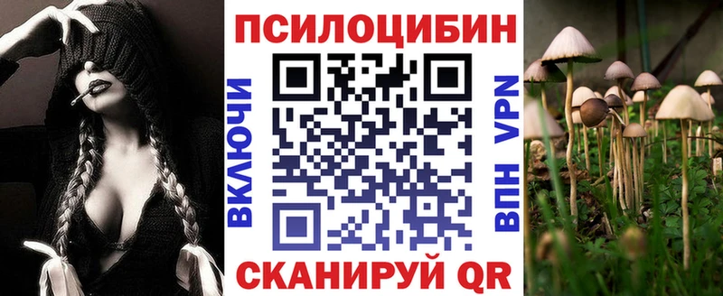 Галлюциногенные грибы Cubensis  наркошоп  Михайлов 
